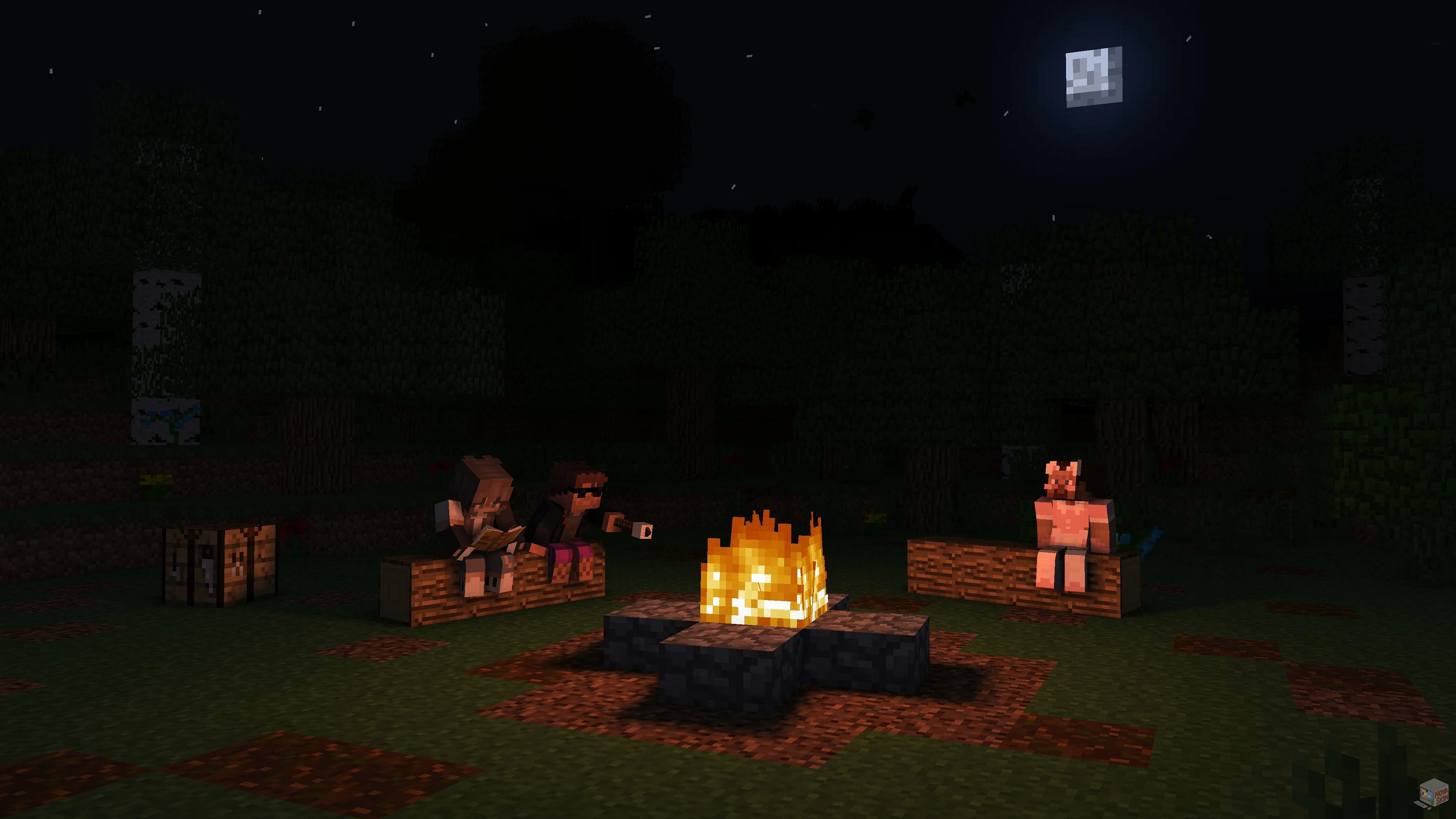 Scène nocturne SurvIsland autour d'un feu de camp.